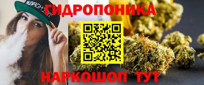СК Можга