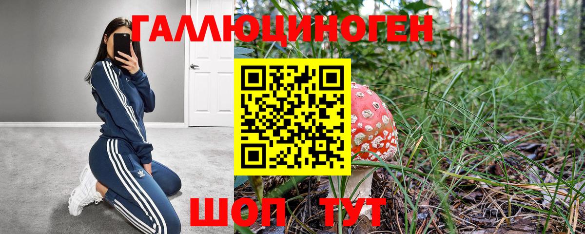 Псилоцибиновые грибы мицелий Шали