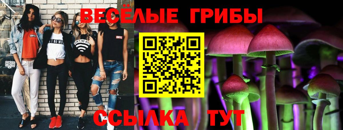 Шали  наркошоп  Псилоцибиновые грибы GOLDEN TEACHER  Вход с VPN  Псилоцибиновые грибы MAGIC MUSHROOMS 